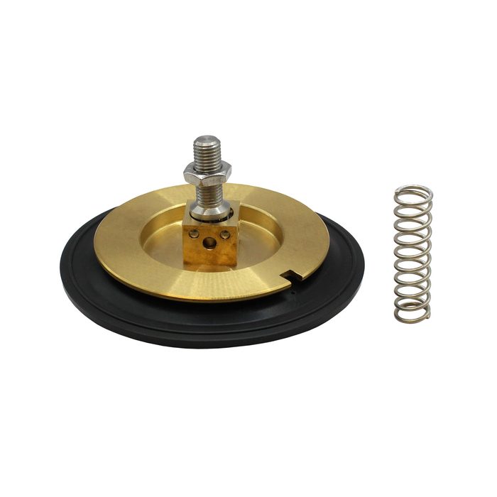 RIEGLER Wear part set, MV, NC, MS, DN50, FPM, forced, large