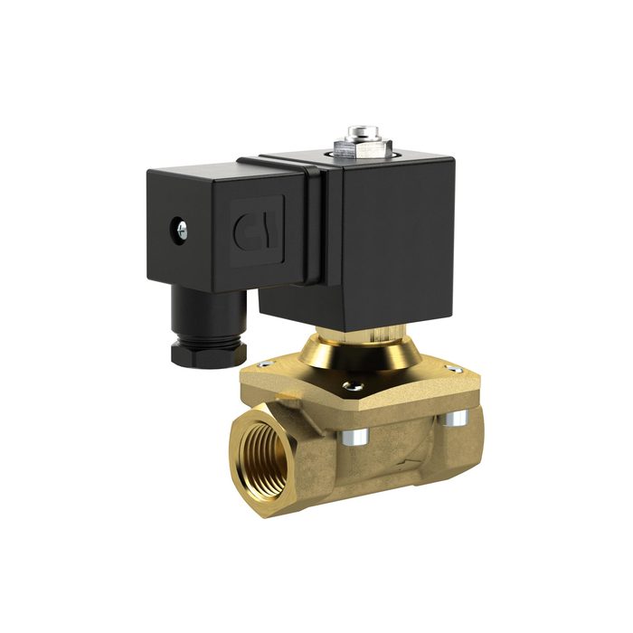 [129472] RIEGLER 2/2 MV, NO, MS, G34, DN20, PN 0-12, FPM, zwangsg., 230V AC