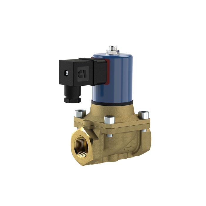 [129485] RIEGLER 2/2 MV, NO, MS, G1, DN25, PN 0-12, NBR, zwangsg., 24V DC