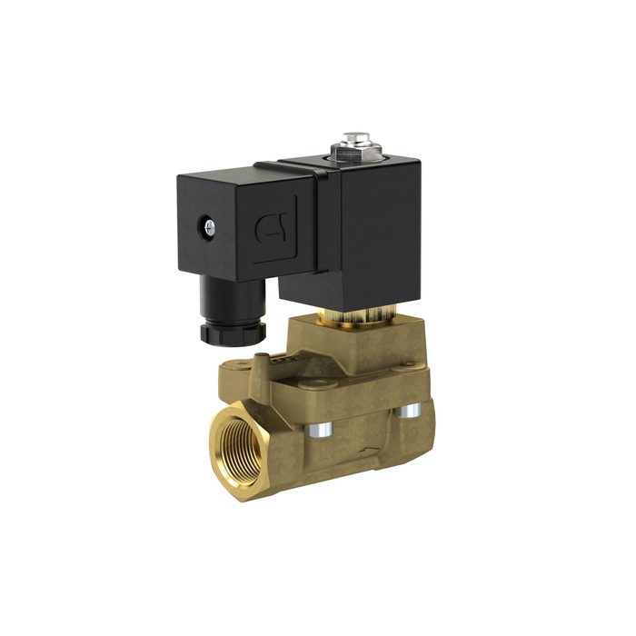 RIEGLER 2/2 MV, NO, MS, G38, DN13, PN 0,5-12, NBR, vorgest., 24V DC