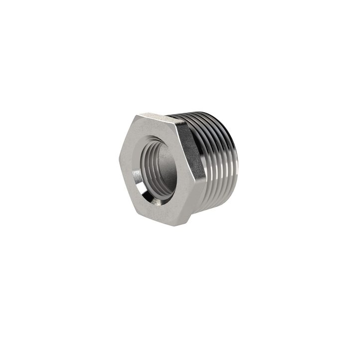 RIEGLER Reduziernippel, R 2 AG, Rp 1 IG, SW 61, ES 1.4408