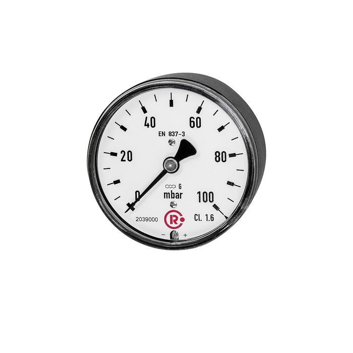 RIEGLER Kapselfedermanometer, G 1/4 hinten zentrisch, 0 - 250 mbar, Ø 63