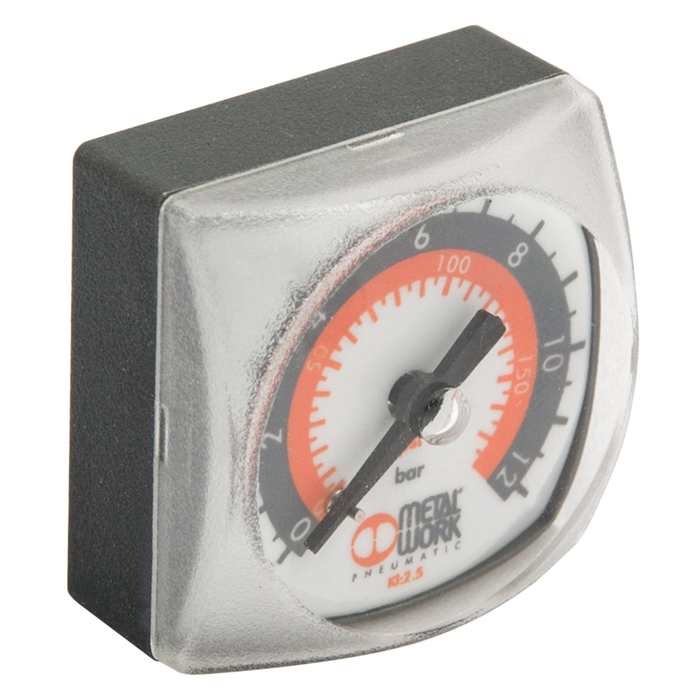 RIEGLER Manometer Metal Work, G 1/8 hinten, 0-12 bar, 40x40