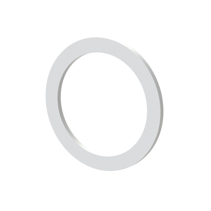 RIEGLER Flachdichtung aus PTFE Gr. 3
