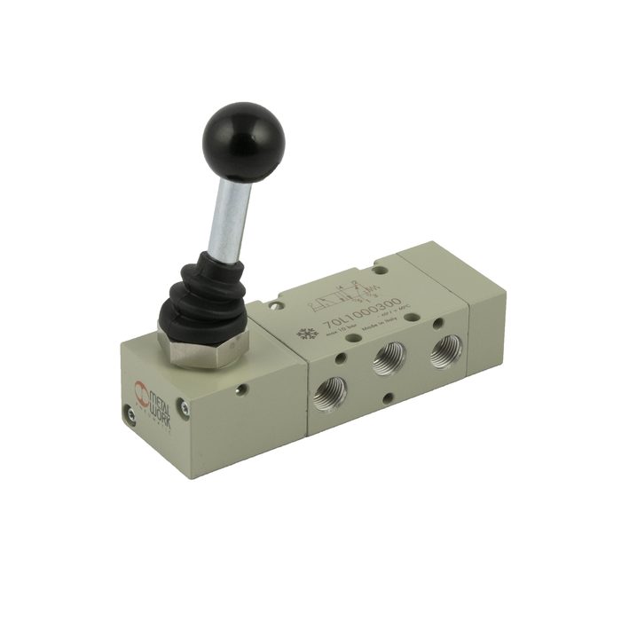 RIEGLER 5/2-Wegeventil Tieftemperatur, man. 90° Hebel, bistabil, G 1/8